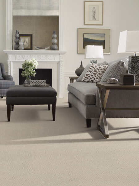 Infallible Instinct by Shaw Floors