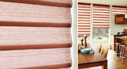 Roman shades Window Coverings Collage