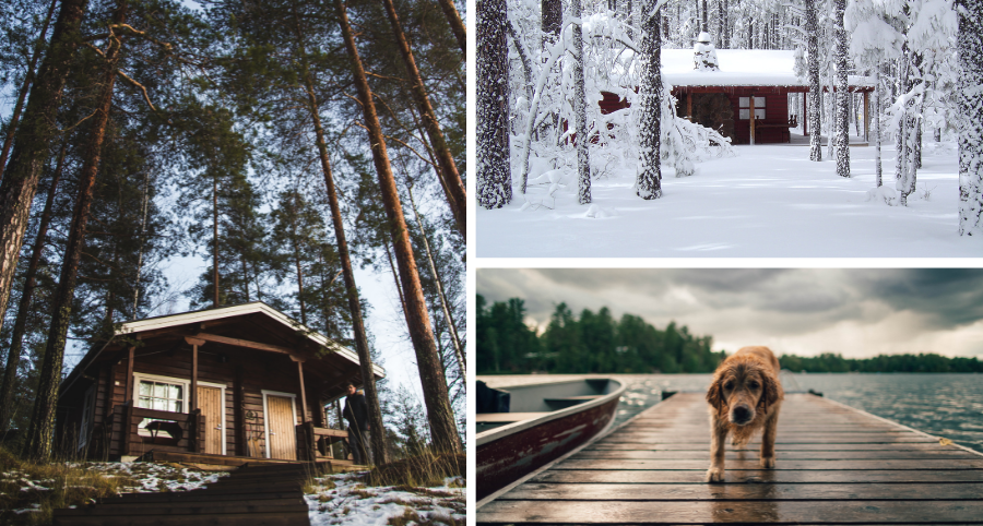 Collage of three different Canadian Vacation Home scenes, including a cabin in the woods, a ski chalet, and a dog on a dock by the lake