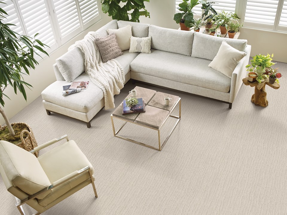 Cozy Carpet Flooring in a bright, light living room, with wood accents and house plants for decor. 