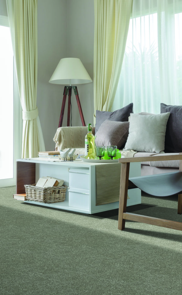 a soft coloured living room interior with beige carpet