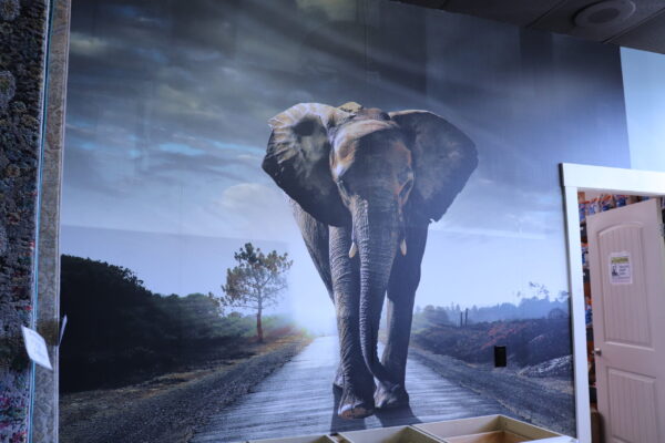 Elephant Mural on Wall in Nufloors Terrace Store