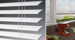 Horizontal blinds window coverings example