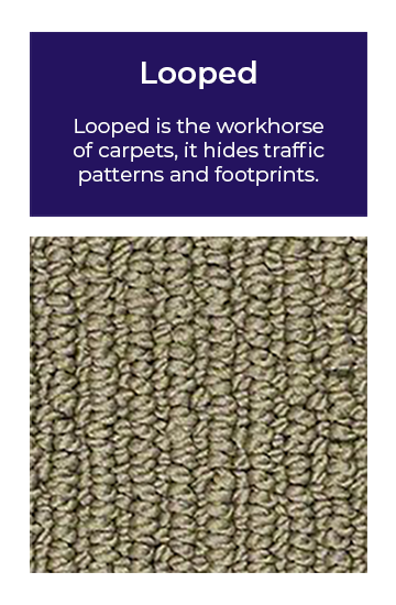 Image of looped carpet with text above it saying, "Loo[er is the workhorse of carpets, it hides traffic patterns and footprints."