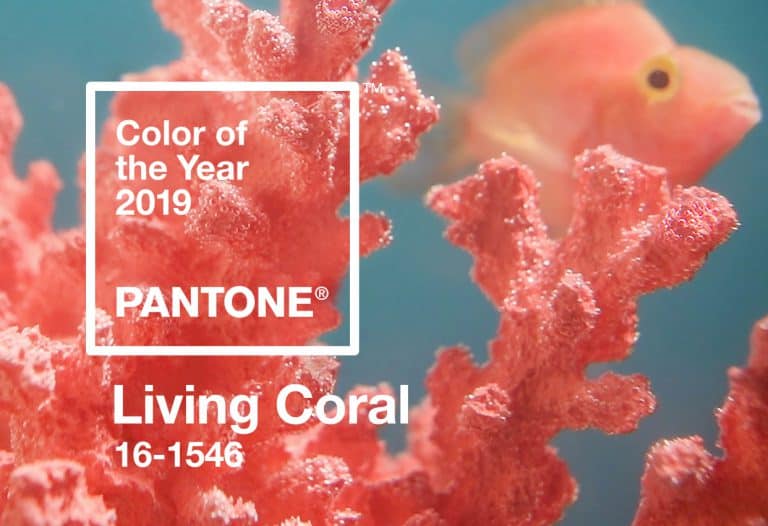 A toy fish in the background with text in the foreground saying "Color of the Year 2019 Pantone Living Coral 16-1546".