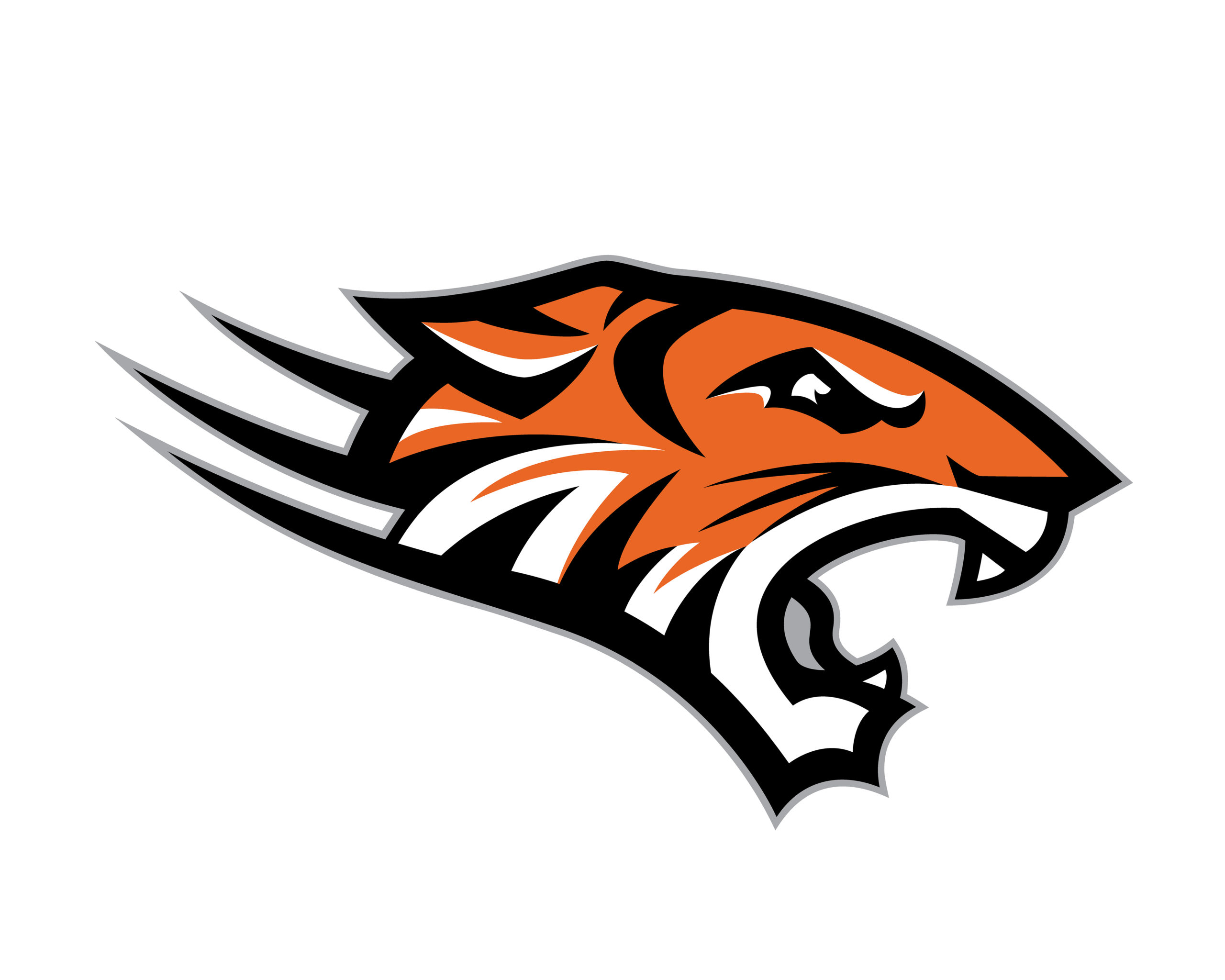 Somba Tiger Logo