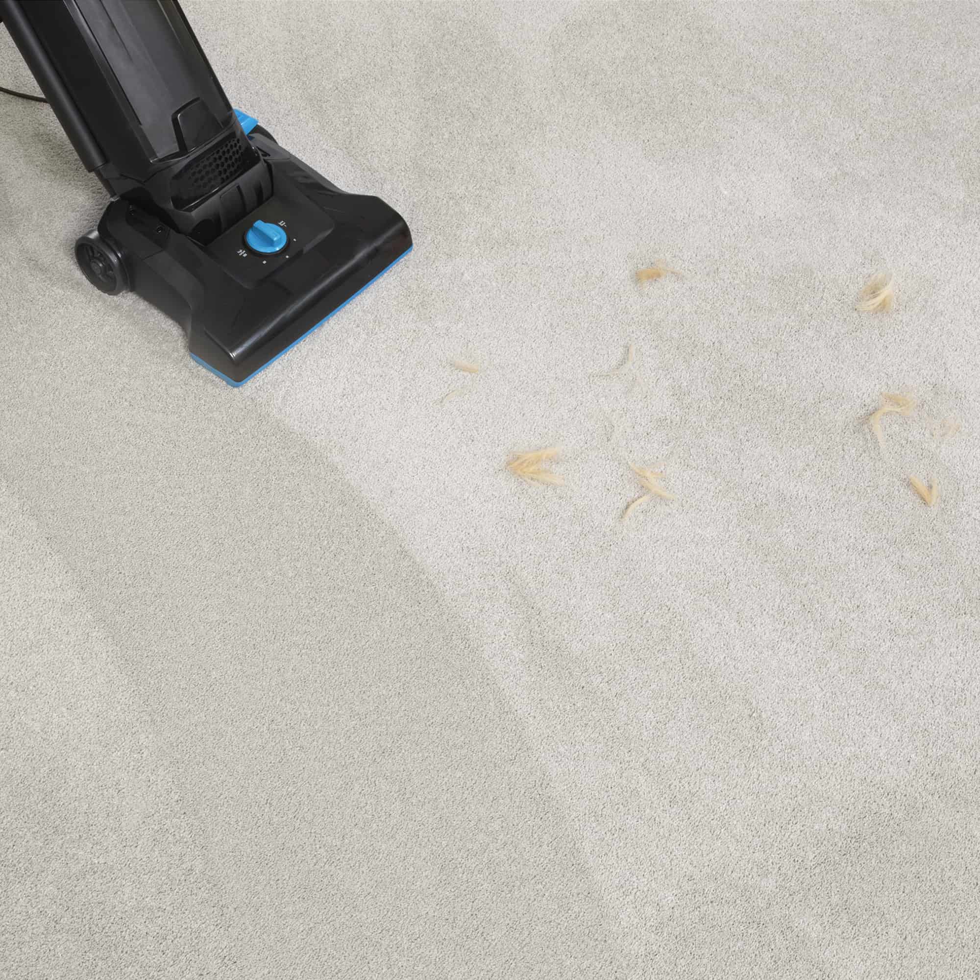 Upright vacuum cleaning up pet hair on white carpet.